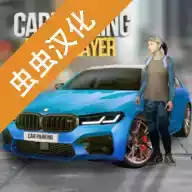 多人停车无限版